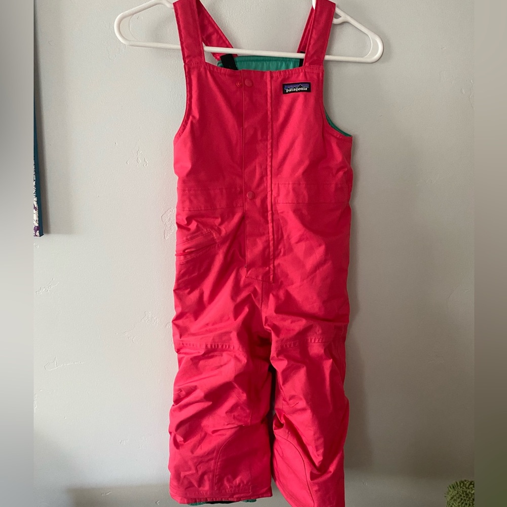 COPY - Hot Pink Patagonia Ski pants size 4T